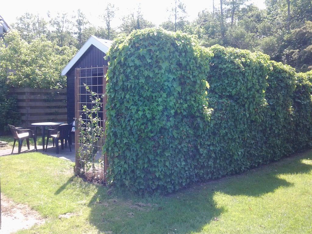 Bed & Breakfast Meinsma Moddergat Exteriör bild