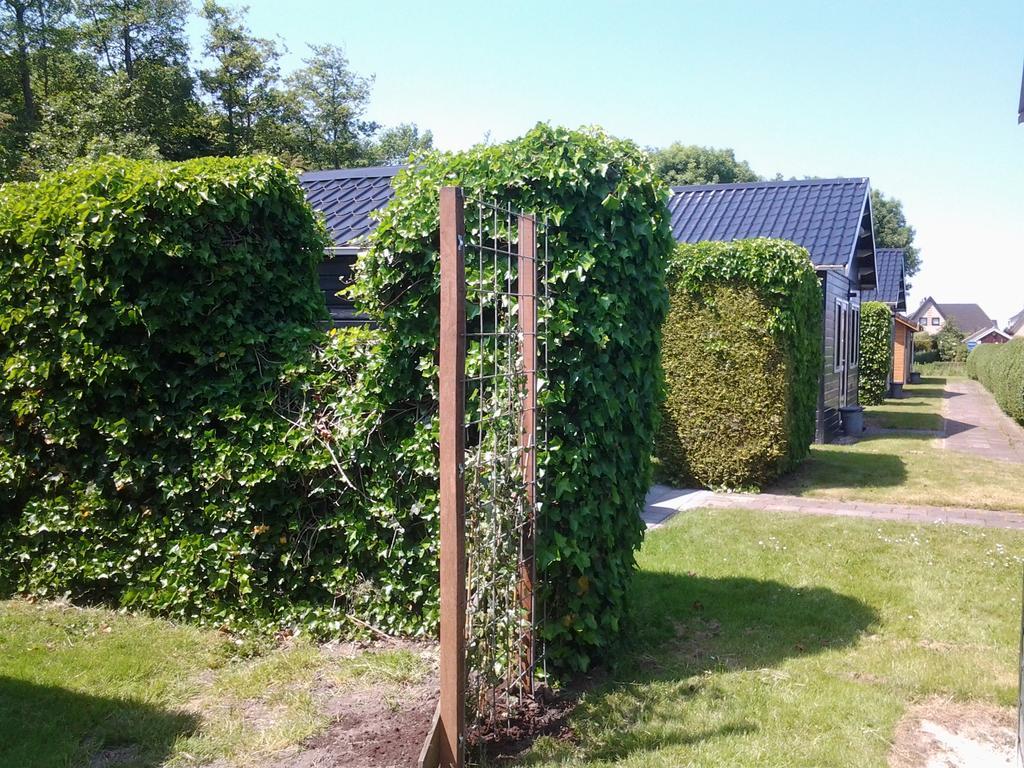 Bed & Breakfast Meinsma Moddergat Exteriör bild
